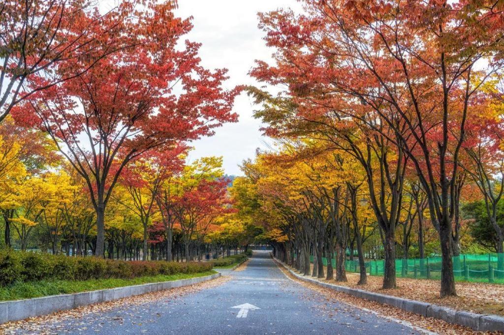 Bupyeong Shampoo Hotel Incheon Ngoại thất bức ảnh